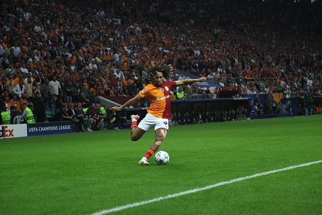 水域都是安 水域都是安