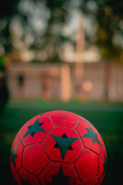 来弥补缺失 来弥补缺失