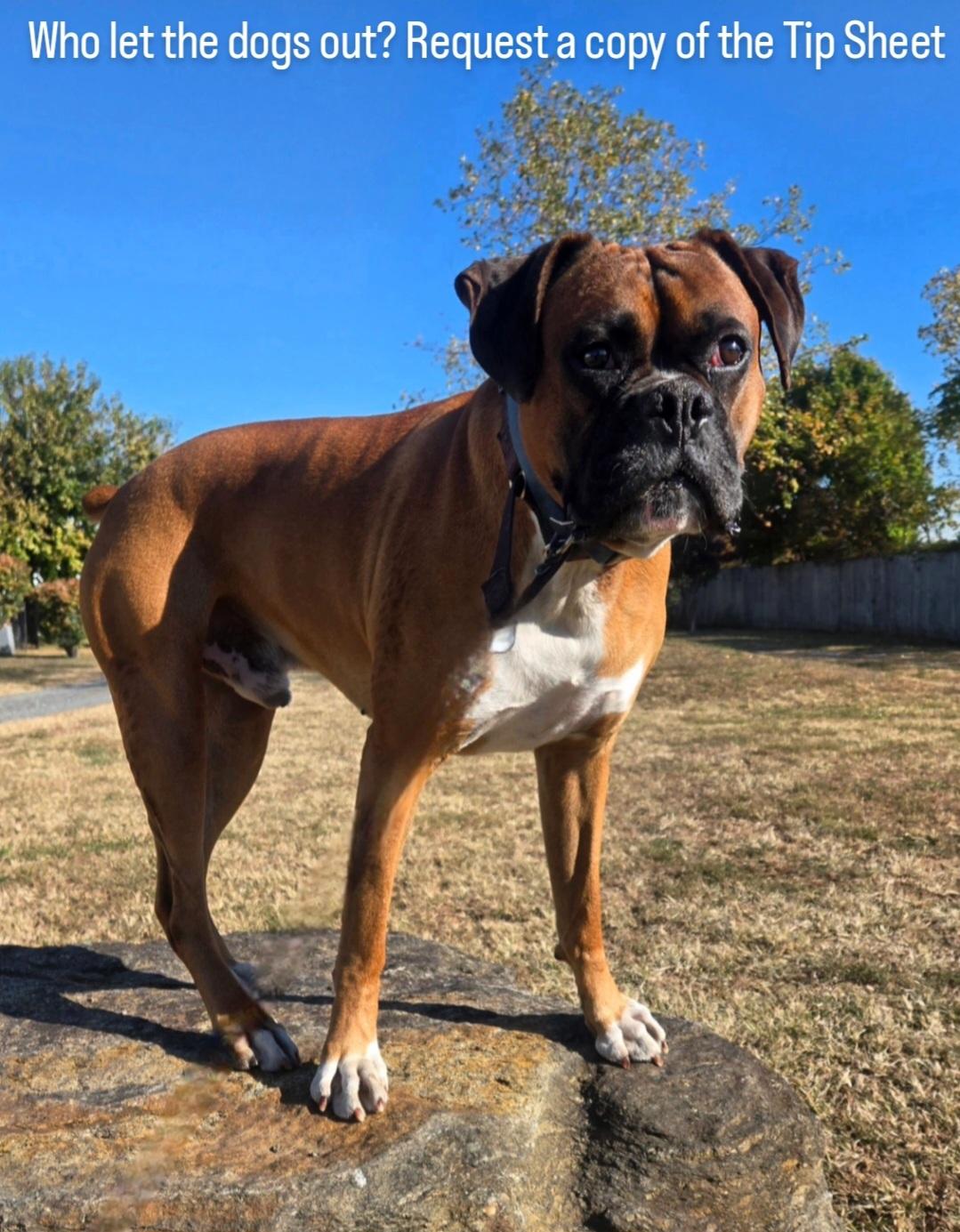 也可能对其 也可能对其