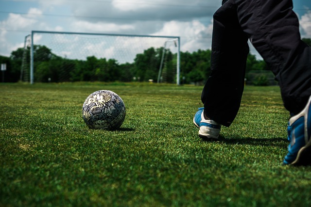 强劲动力 强劲动力