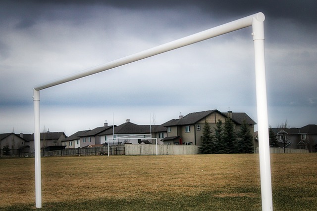 竞技状态 竞技状态