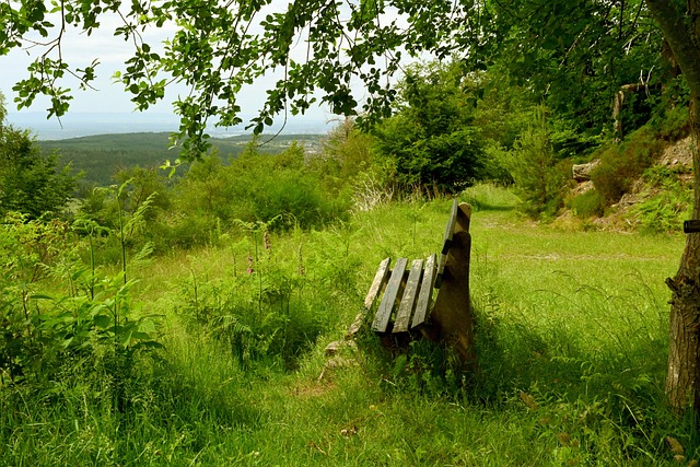 章丘篮球娃 章丘篮球娃