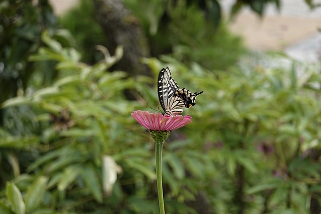控了场上节